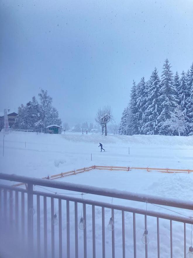 Jara Apartment- Ramsau Am Dachstein Dış mekan fotoğraf